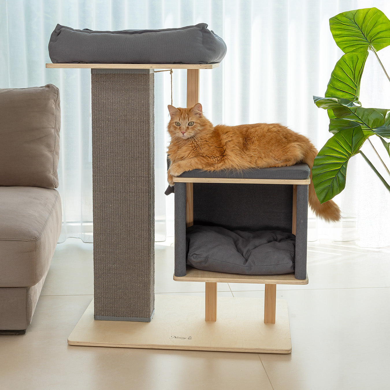 Sammy liegt auf der großen Liegefläche auf der Katzenhöhle