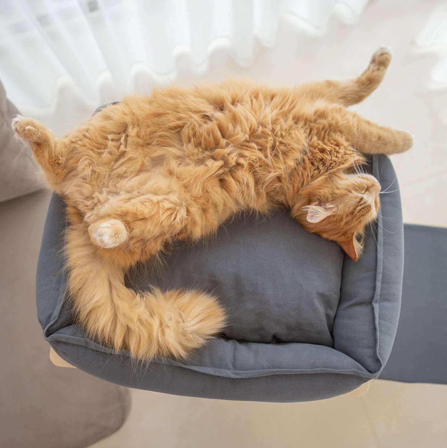 Sammy schläft voll ausgestreckt am XL Katzenbett mit viel Füllmaterial